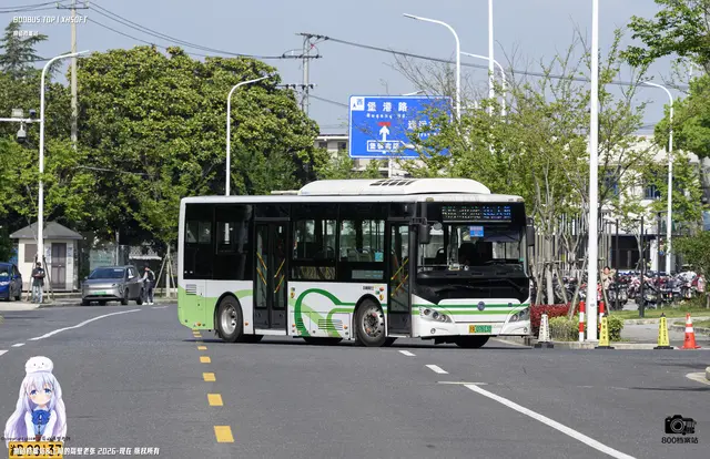 沪A 07613D