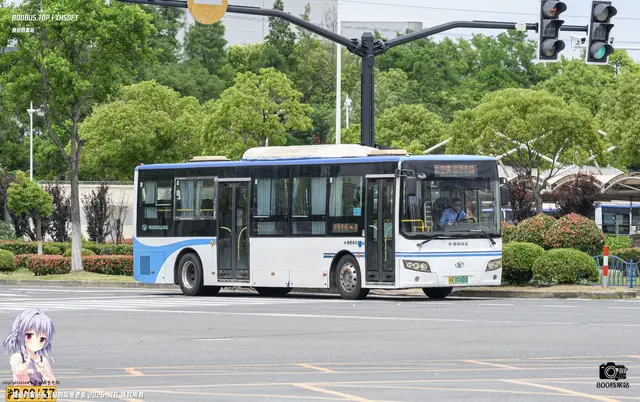 800BUS