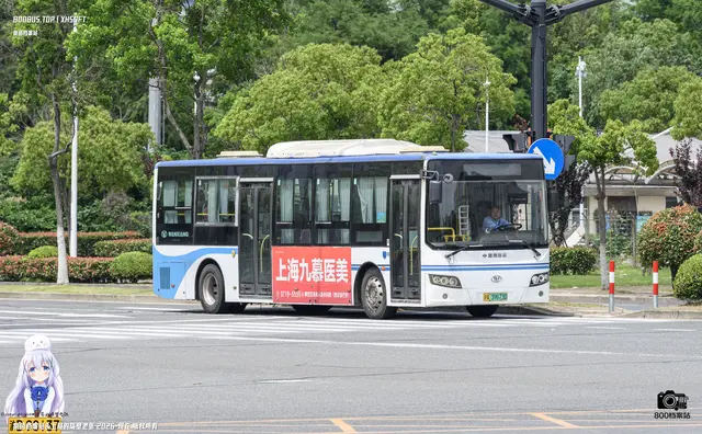 800BUS