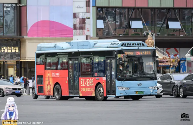 800BUS