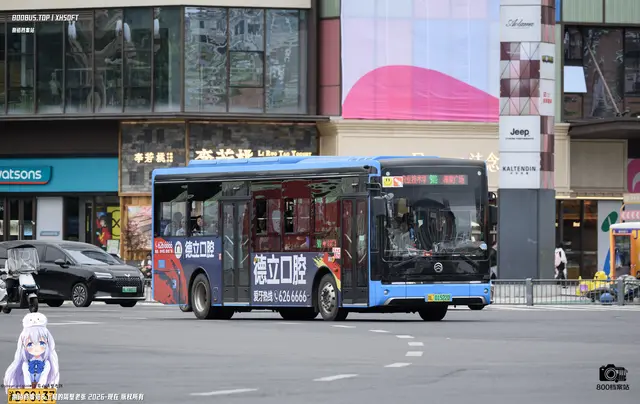 800BUS