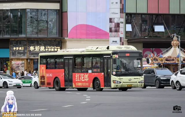 800BUS