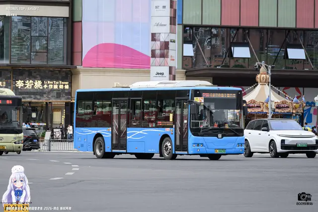 800BUS