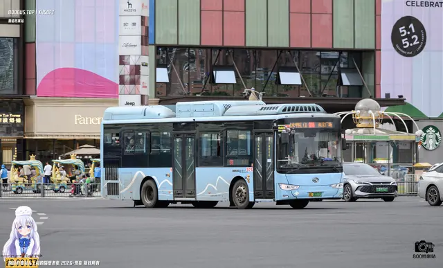 800BUS