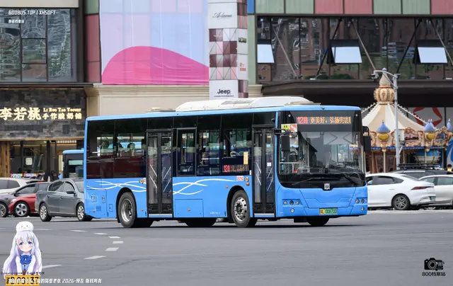 800BUS
