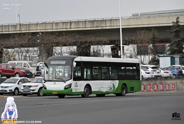 800BUS