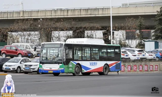 800BUS