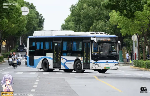 800BUS