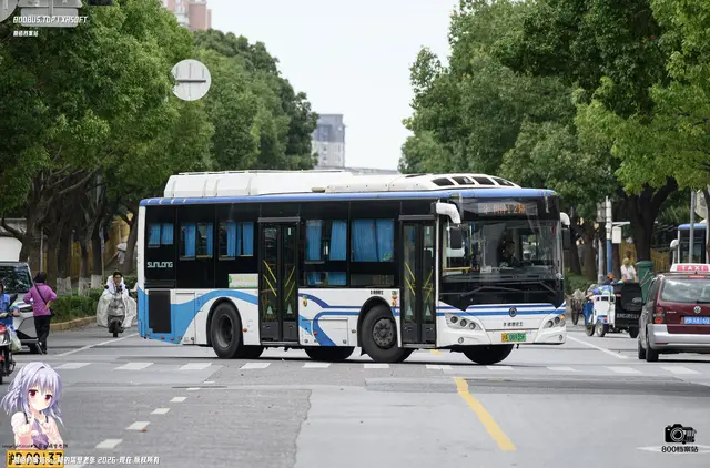 800BUS