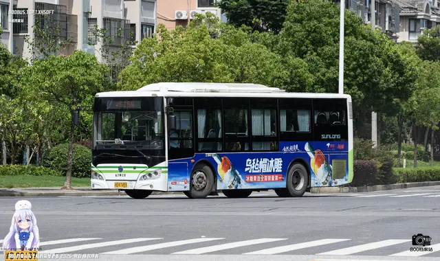 800BUS