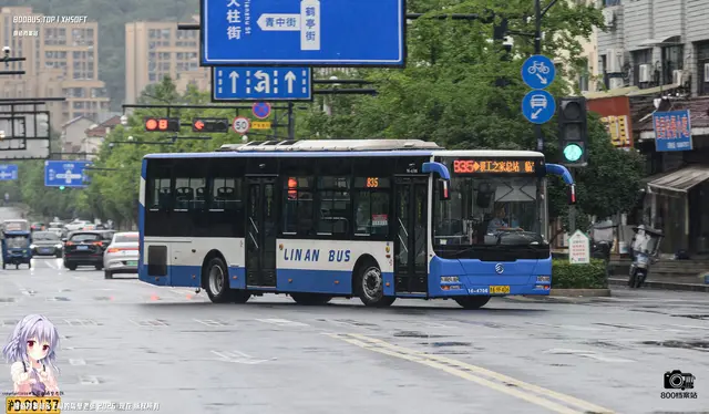 800BUS