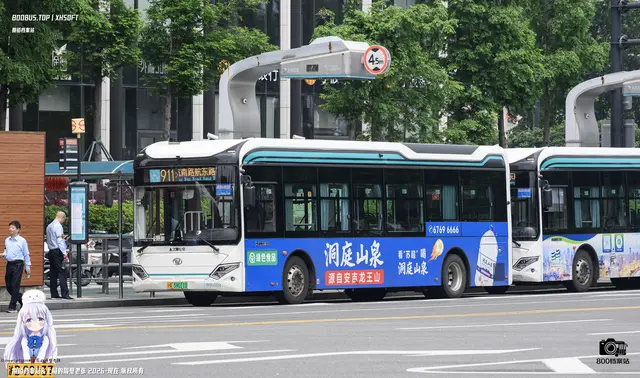 800BUS