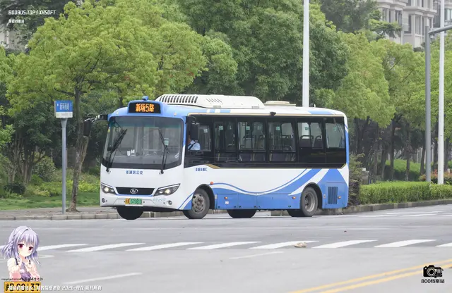 800BUS