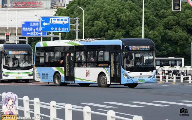 800BUS
