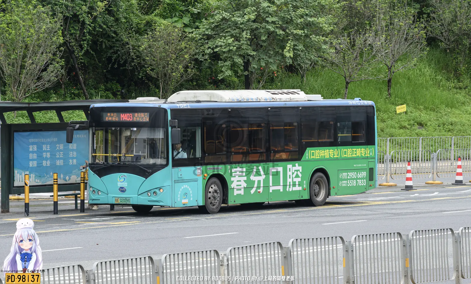 Bus Archive