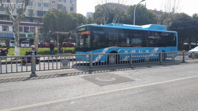 800BUS