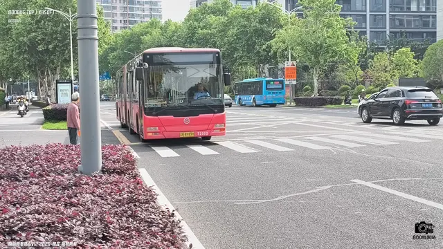 苏B B9898