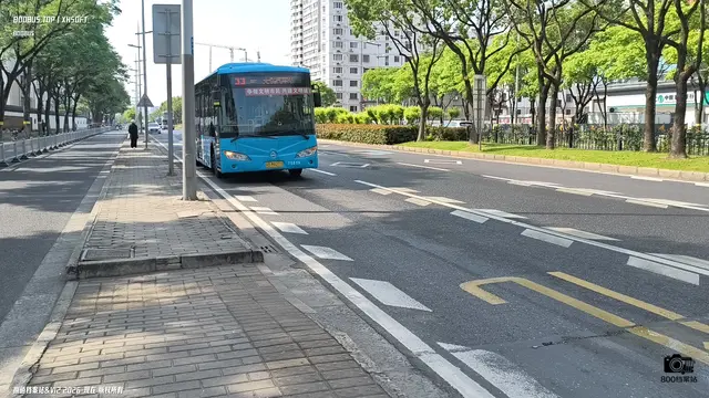 苏B M8271