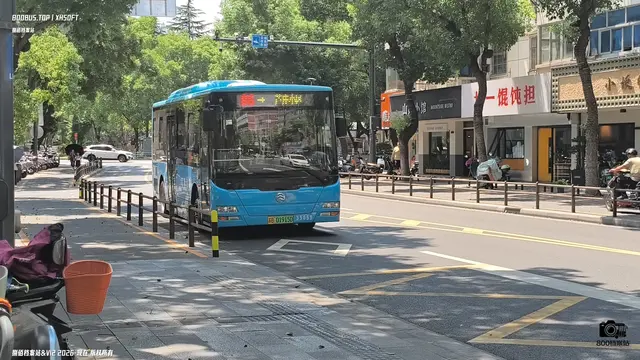 苏B 01915D