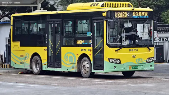 800BUS