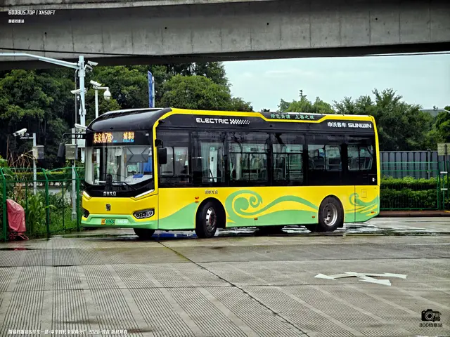 沪A 18563A