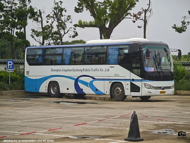 沪D K8741