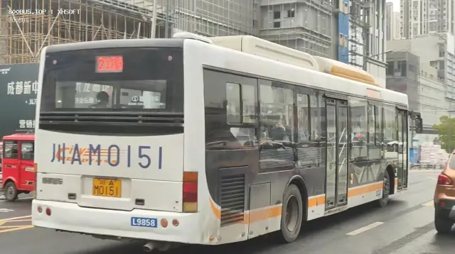800BUS