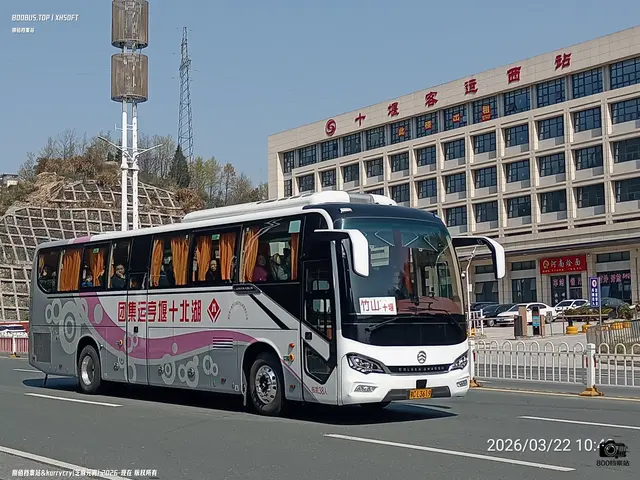 鄂C L3619
