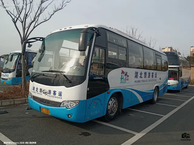 鄂C LY009