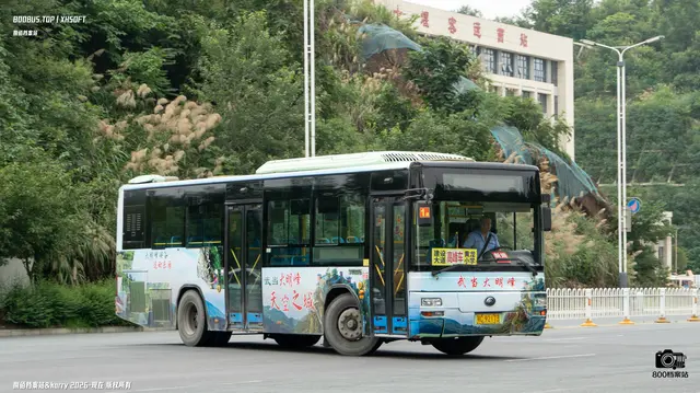 800BUS
