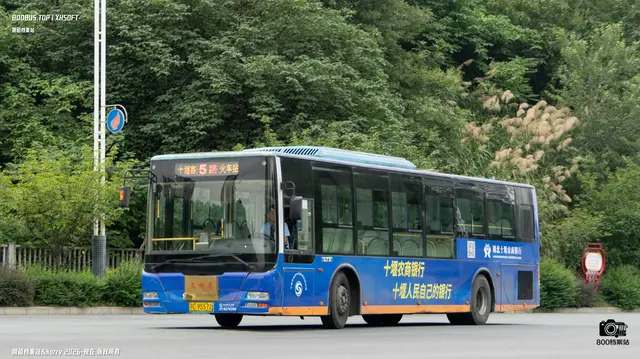 800BUS