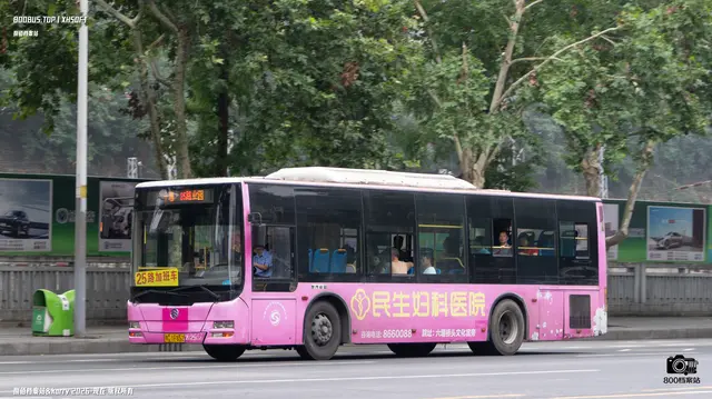 800BUS