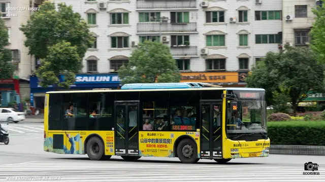 800BUS