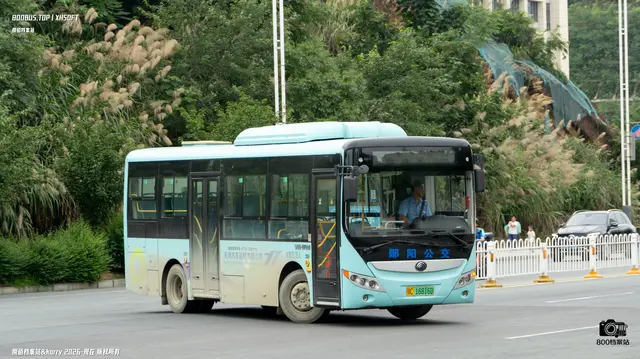 800BUS