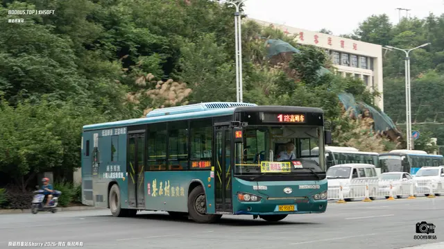 800BUS
