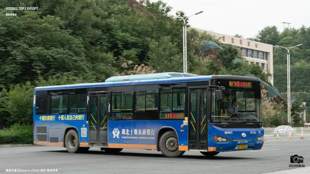 800BUS