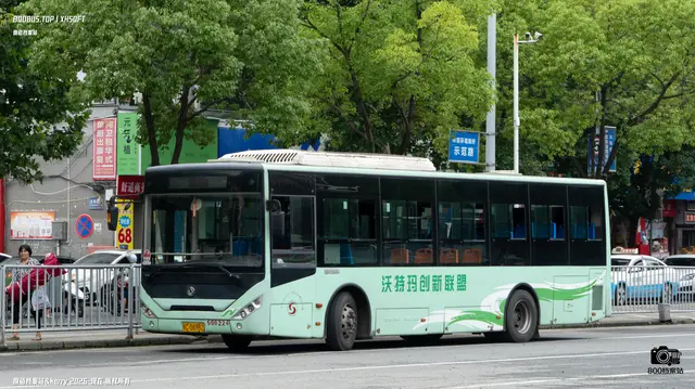 800BUS