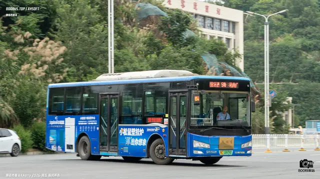 800BUS