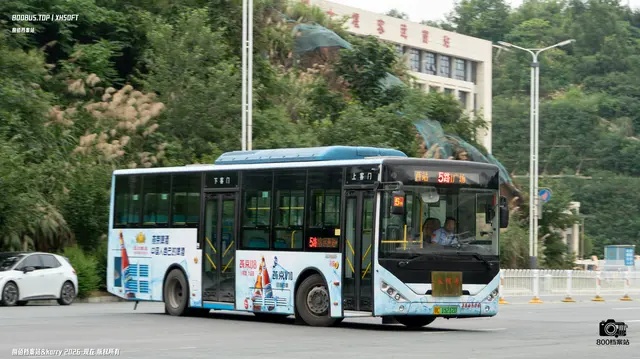 800BUS