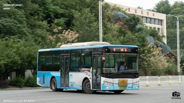 800BUS