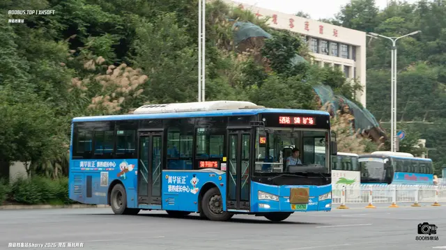 800BUS