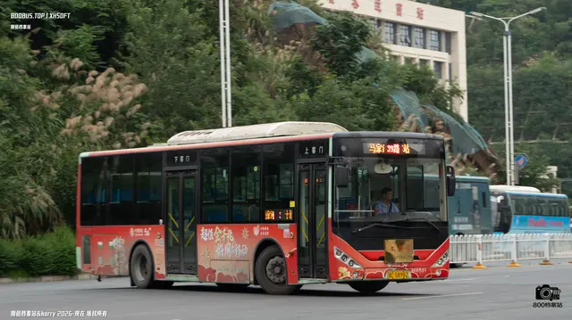 800BUS