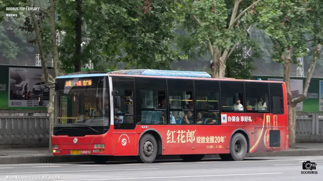 800BUS