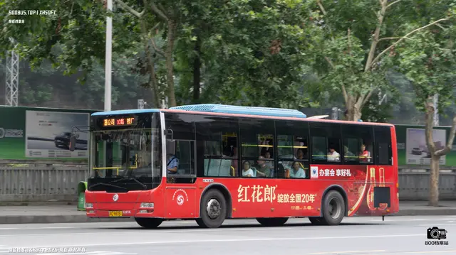 800BUS