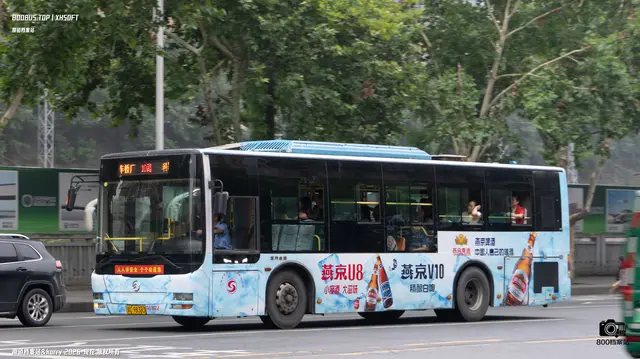800BUS
