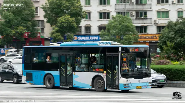 800BUS