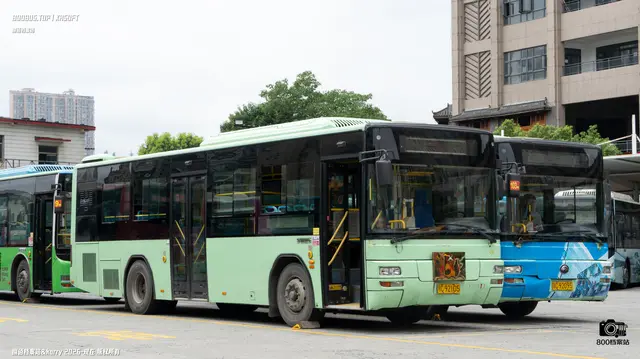 800BUS