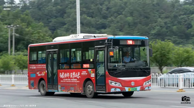 800BUS