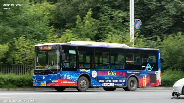 800BUS