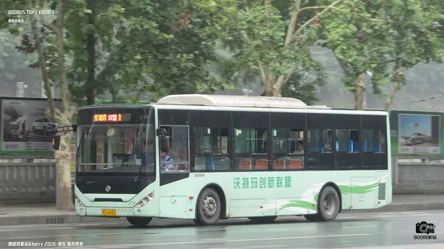 800BUS